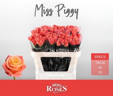 Rózsaszín Rózsa (Miss Piggy) 70cm