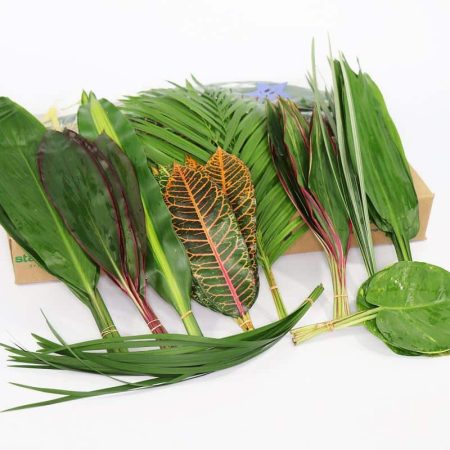 Zöld Mix (Tropical)