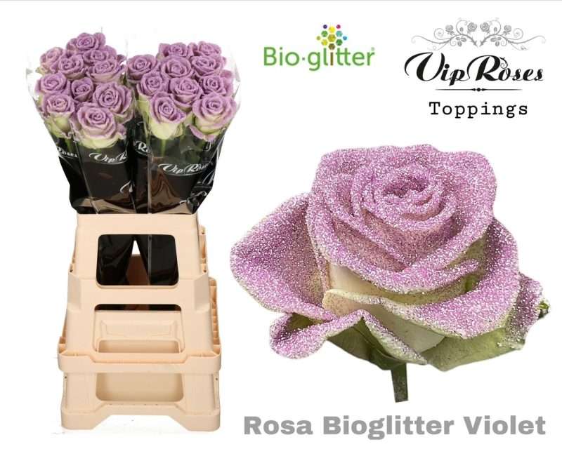 Csillámos Rózsa (Vip Roses-Lila) 70cm