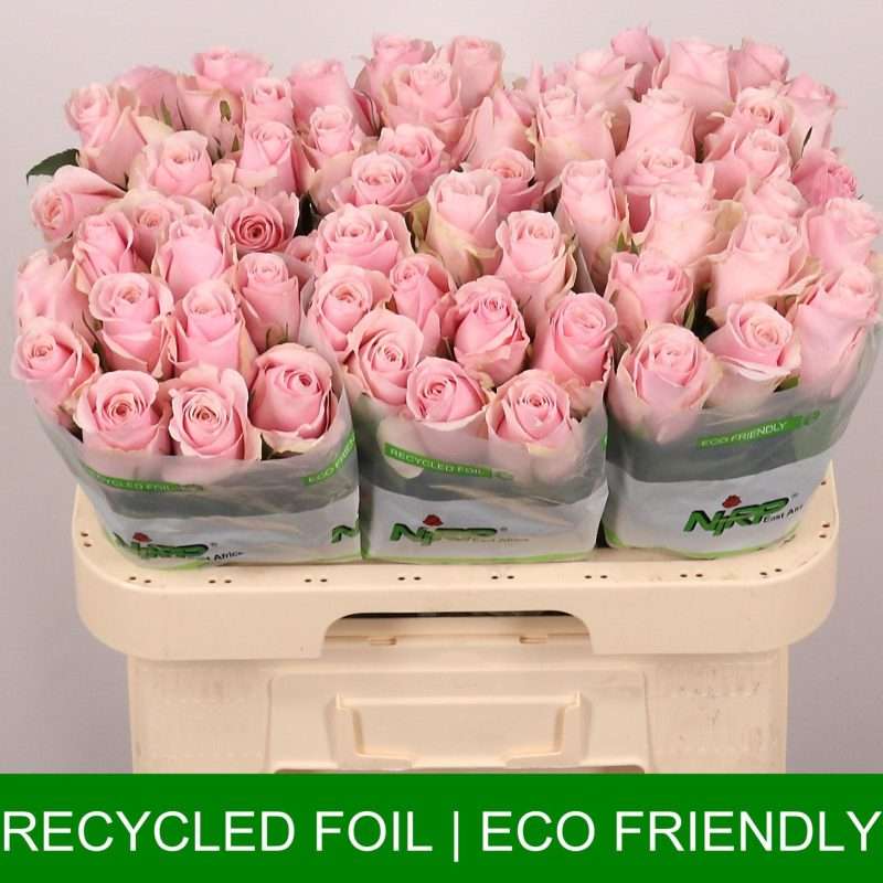 Pasztell Rózsaszín Rózsa (Organza) 60cm