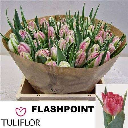 Rózsaszín Tulipán (EN Flash Point) 34cm