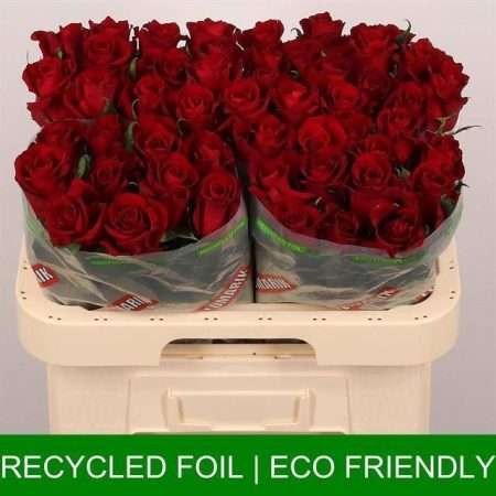 Vörös Rózsa (Ever Red) 60cm